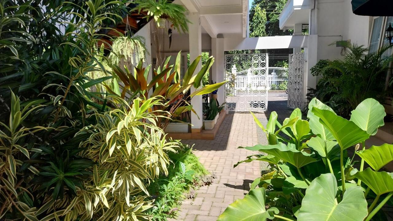 Surokarsan 9 House Yogyakarta 호텔 외부 사진